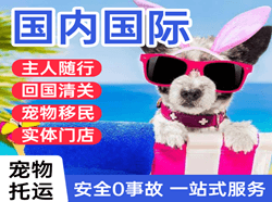 上海浦东机场物流国际宠物托运 【国